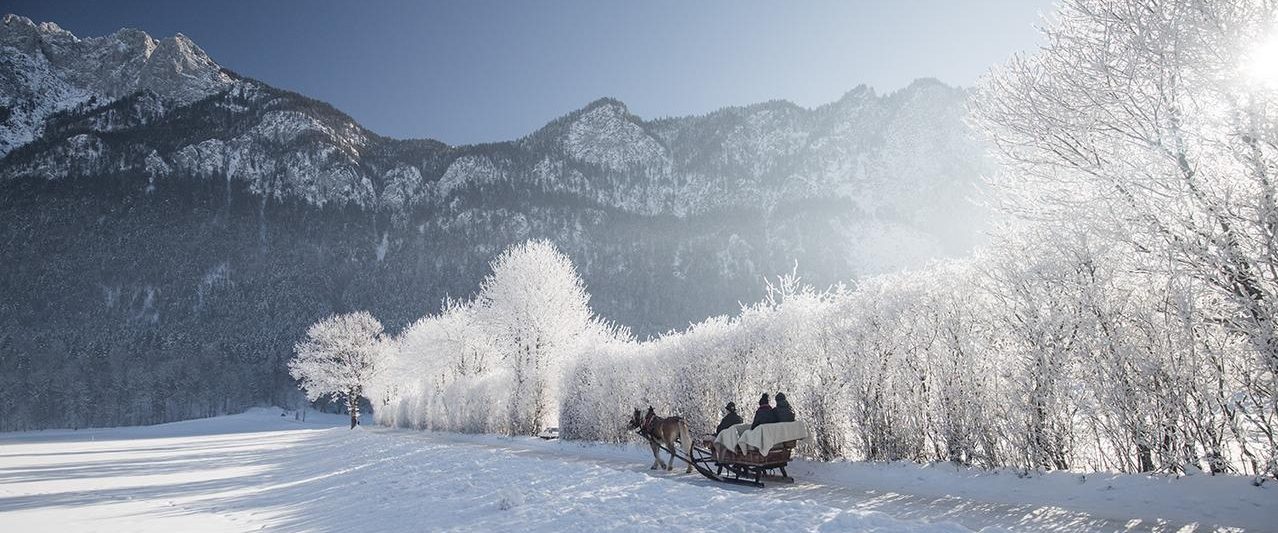 People enjoying a reindeer sleigh ride